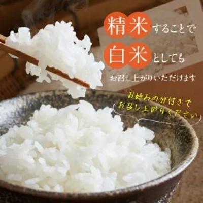 ふるさと納税 久留米市 先行予約【令和8年産】福岡県産ブランド米 元気つくし(玄米) 30kg(久留米市)の画像