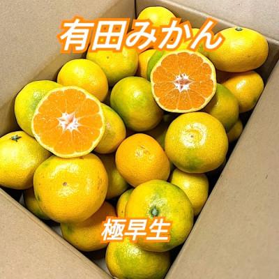 ふるさと納税 印南町 10月中旬より順次発送[まごころ手選別]和歌山産 有田みかん(極早生)3kg 1箱(2S〜L混合)