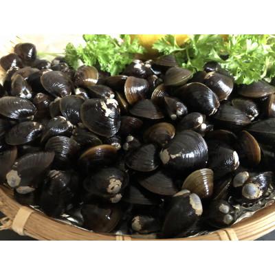 ふるさと納税 網走市 オホーツク産直市場かにやの人気の網走湖産大粒しじみ貝200g×6袋で合計1.2kg便利な小分けセット