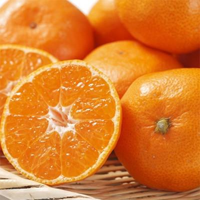 ふるさと納税 上富田町 「農家直送」紀州有田みかん約5kg (S〜Lサイズおまかせ)(上富田町)