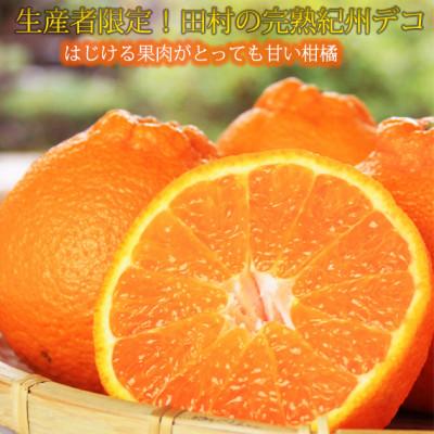 ふるさと納税 太地町 高級ブランド田村の完熟紀州デコ 不知火※2027年3月上旬頃〜3月中旬頃に順次発送 [uot731]