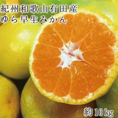 ふるさと納税 太地町 和歌山有田産ゆら早生みかん10kg※2026年10月中旬頃〜11月上旬頃順次発送予定[uot734]