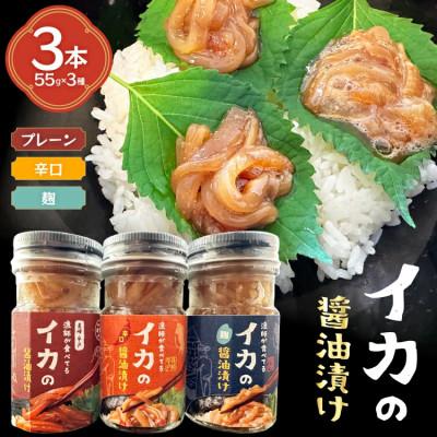 ふるさと納税 平戸市 ご飯のお供 イカ 醤油漬け 3本 計165g[康貴丸水産]