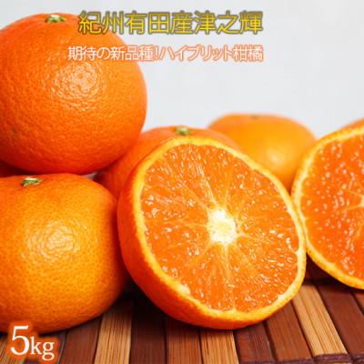 ふるさと納税 太地町 津之輝(つのかがやき) 5kg※2027年2月上旬頃〜2月下旬頃に順次発送予定[uot761]