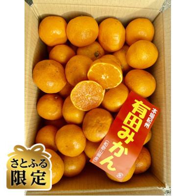 ふるさと納税 有田川町 [さとふる限定]貯蔵みかん 5キロ