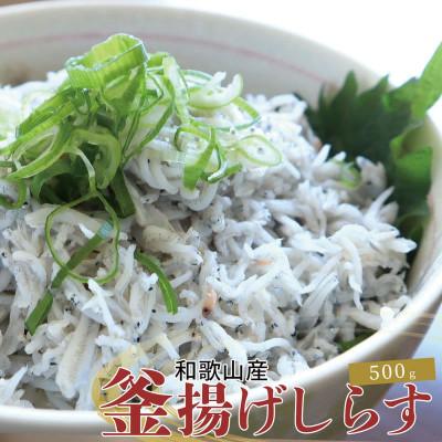 ふるさと納税 太地町 紀州和歌山湯浅産 釜揚げしらす 500g(100g×5)※冷凍発送[uot786A]