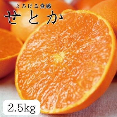 ふるさと納税 太地町 ジューシー柑橘 せとか 約2.5kg ※2027年2月上旬頃〜下旬頃に順次発送予定[uot789A]