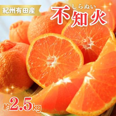 ふるさと納税 太地町 有田産不知火(しらぬひ) 2.5kg ※2026年2月中旬頃〜3月中旬頃順次発送予定[uot794]