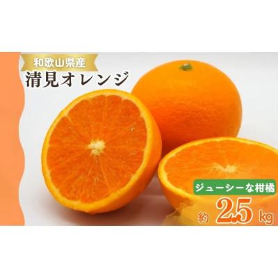 ふるさと納税 太地町 清見オレンジ 2.5kg ※2026年3月下旬頃〜順次発送予定[uot832]