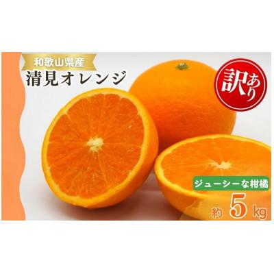 ふるさと納税 太地町 [ご家庭用訳アリ]紀州有田産清見オレンジ 5kg[uot833]