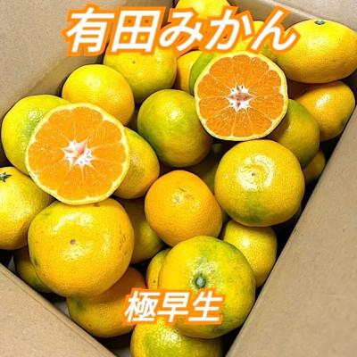 ふるさと納税 美浜町 10月中旬より順次発送[まごころ手選別]和歌山産 有田みかん(極早生)3kg 1箱(2S〜L混合)