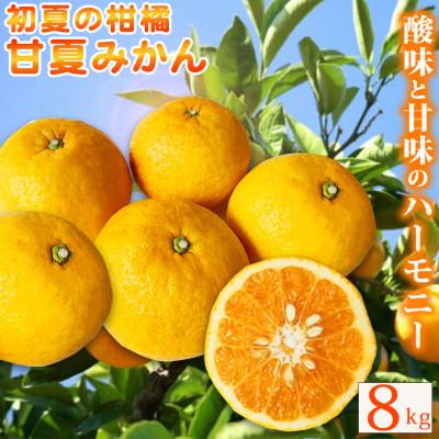 ふるさと納税 太地町 [ご家庭用訳あり]紀州有田産 すっきり爽やか 甘夏みかん 8kg[uot847]