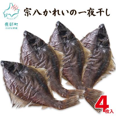 ふるさと納税 鹿部町 北海道産 宗八かれいの一夜干し 4枚入り SM41-2