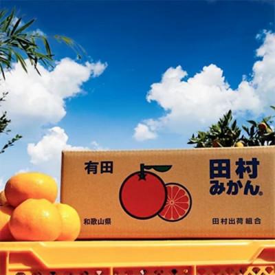 ふるさと納税 美浜町 [先行予約2026年11月中旬より発送]和歌山 湯浅町産 田村みかん 5kg[Lサイズ]