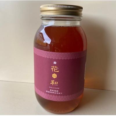 ふるさと納税 茅野市 百花はちみつ 1200g