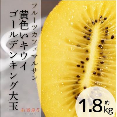 ふるさと納税 南アルプス市 [2026年発送分先行予約]フルーツカフェマルサン 黄色いキウイ ゴールデンキング 大玉約1.8k