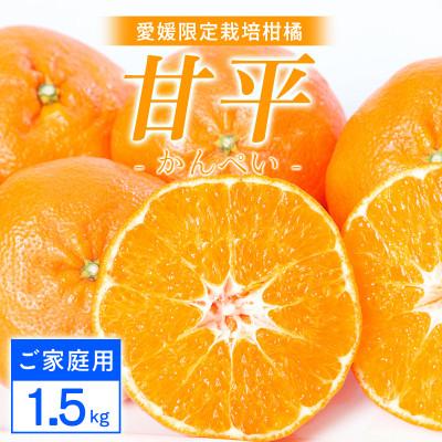 ふるさと納税 八幡浜市 [先行受付][ご家庭用]甘平 1.5kg 愛媛県 八幡浜産 西宇和地区[H25-303]