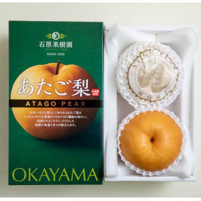 ふるさと納税 岡山市 あたご梨2玉化粧贈答箱赤秀 約950g玉(A2-95)