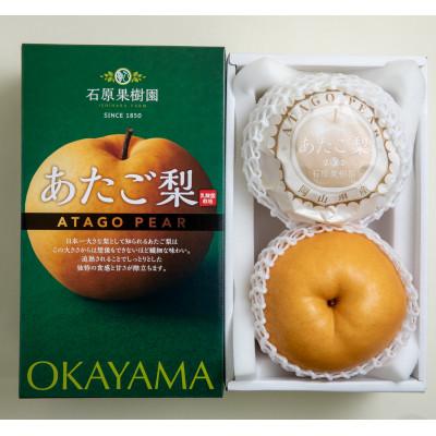 ふるさと納税 岡山市 あたご梨2玉化粧贈答箱赤秀 約1.3kg玉(A2-13)