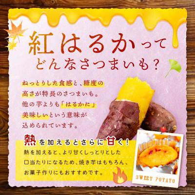 ふるさと納税 京丹後市 甘くてほくほく!有機栽培の京都・京丹後産さつまいも(紅はるか)5kg てんとうむしばたけのサツマイモの画像
