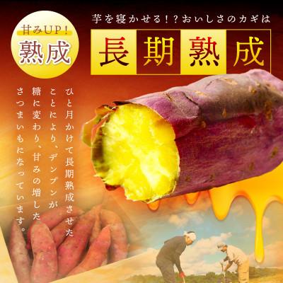 ふるさと納税 京丹後市 甘くてほくほく!有機栽培の京都・京丹後産さつまいも(紅はるか)5kg てんとうむしばたけのサツマイモの画像