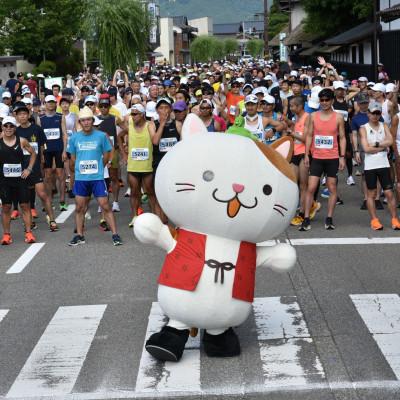 ふるさと納税 関川村 2026年6月21日開催 関川マラソン 大会エントリー権 マラソン スポーツイベント 12km