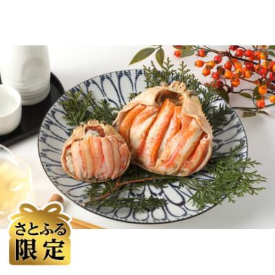 ふるさと納税 福井市 [さとふる限定]日本海産ずわいがに甲羅盛夫婦セット:オス145g前後+メス70g前後