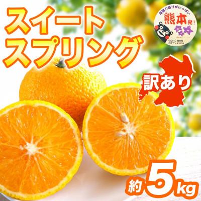ふるさと納税 宇城市 [先行予約] 熊本県 宇城市産 季節限定 訳あり スイートスプリング みかん 約5kg(宇城市)
