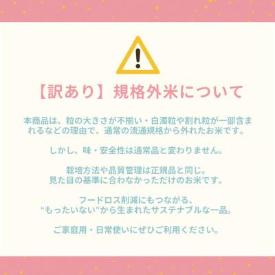 ふるさと納税 南丹市 【さとふる限定】訳あり 令和8年産 こと美山米