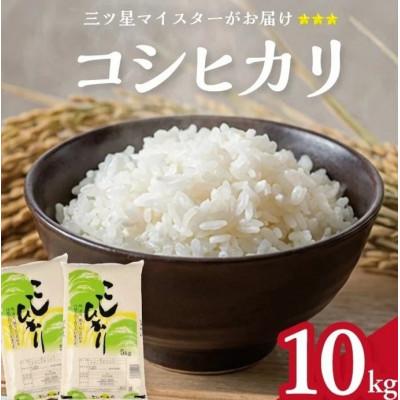 ふるさと納税 酒田市 庄内産 コシヒカリ 精米 10キロ