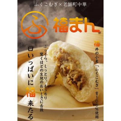 ふるさと納税 鯖江市 三ツ星若狭牛入り!福井の肉まん「福まん&amp;福まんりっち」計20個入りセット