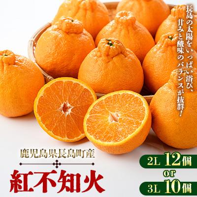 ふるさと納税 長島町 長島町産 紅不知火