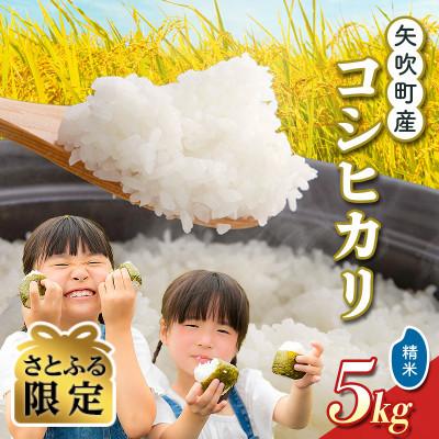 ふるさと納税 矢吹町 [さとふる限定]矢吹町産 コシヒカリ 令和7年産米 精米5kg