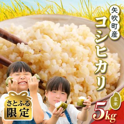 ふるさと納税 矢吹町 [さとふる限定]矢吹町産 コシヒカリ 令和7年産米 玄米5kg