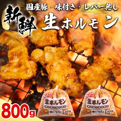 ふるさと納税 紫波町 生ホルモン 国産豚 味付け レバー無し 800g(400g×2パック) 冷凍 ホルモン