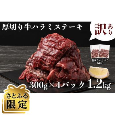 ふるさと納税 水上村 [さとふる限定][期間限定・訳あり]厚切り 牛ハラミステーキ 1.2kg(300g×4P)(水上村)