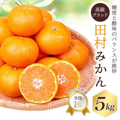 ふるさと納税 太地町 高級ブランド 田村みかん 5kg[uot504A]