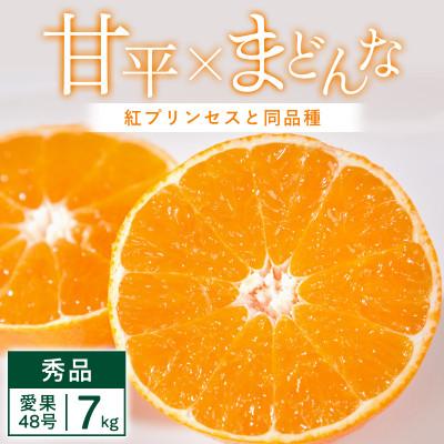 ふるさと納税 八幡浜市 [先行受付]「紅プリンセス」と同品種 愛媛果試48号 7kg[H25-343]
