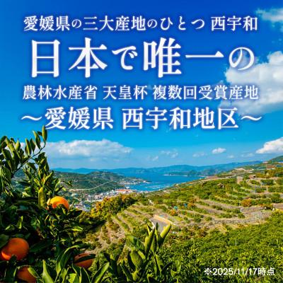 ふるさと納税 八幡浜市 【訳あり】甘平×まどんな 7kg 「紅プリンセス