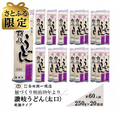 ふるさと納税 観音寺市 [さとふる限定]合田照一商店 讃岐うどん(太口)乾麺タイプ約60人前 250g×20袋詰
