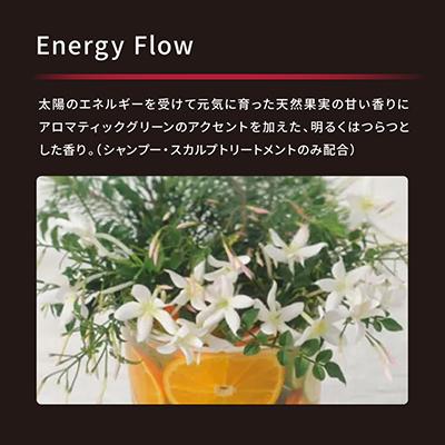 ふるさと納税 茨木市 アデノバイタル シャンプー 1000mL　2個_2