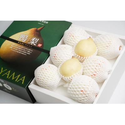 ふるさと納税 岡山市 ヤーリー4kg化粧贈答箱赤秀 大玉6〜10玉(YRK-40B)