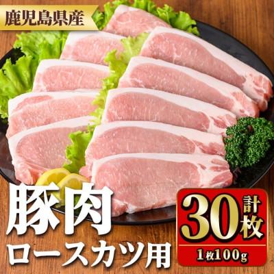 ふるさと納税 湧水町 鹿児島県産豚肉ロースとんかつ用(100g×30枚) y532(湧水町)