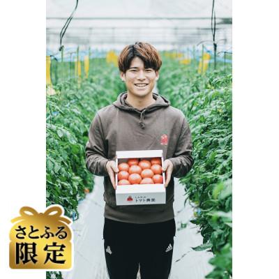 ふるさと納税 宇城市 [さとふる限定]熊本県宇城市不知火町産 塩トマト