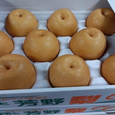 ふるさと納税 熊本市 [2026年8月上旬〜9月下旬発送予定]熊本市産 梨(幸水・豊水・秋月・秋麗・新高など) 約4kg