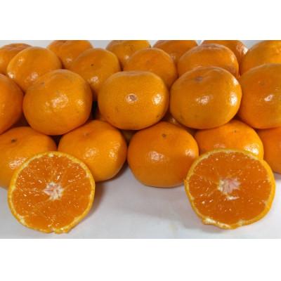 ふるさと納税 熊本市 [2026年10月中旬〜2027年2月下旬発送予定]熊本県産みかん[手選別まごころ選果]約3kg