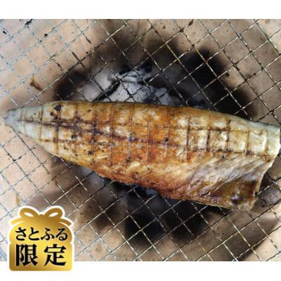 ふるさと納税 銚子市 [さとふる限定][訳あり]無塩冷凍さばフィーレ小サイズ 計4kg 千葉県銚子市産