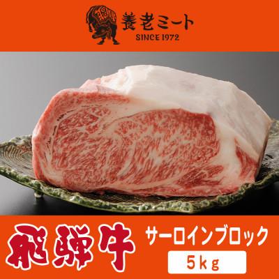 ふるさと納税 多治見市 飛騨牛 サーロインブロック 5kg
