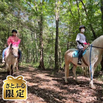 ふるさと納税 越生町 [さとふる限定]森のお散歩コース 1名