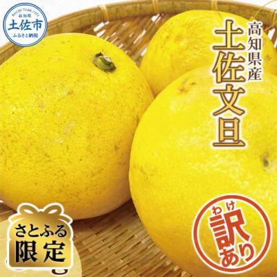 ふるさと納税 土佐市 [さとふる限定]訳あり 土佐文旦 家庭用 (M〜5L混合サイズ) 約5kg 大玉入り